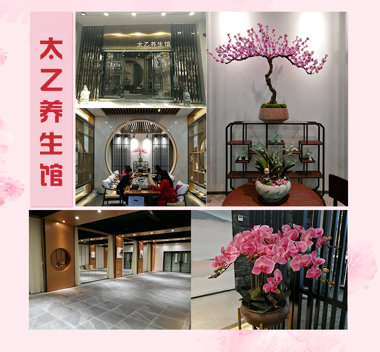 湖南天華油茶科技股份有限公司